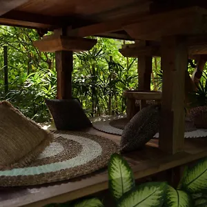 https://roots-tree-house.ubudhotelsnow.com