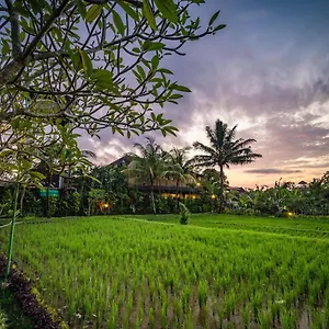 https://bliss-ubud-luxury-villa.ubudhotelsnow.com